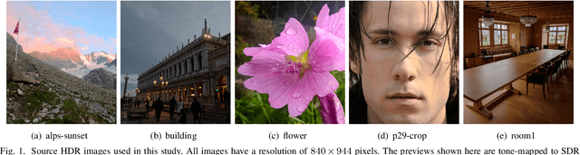 Figure 1 for Fine-Grained HDR Image Quality Assessment From Noticeably Distorted to Very High Fidelity