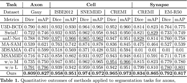 Figure 2 for ShapeMamba-EM: Fine-Tuning Foundation Model with Local Shape Descriptors and Mamba Blocks for 3D EM Image Segmentation