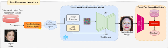 Figure 2 for Face Reconstruction from Face Embeddings using Adapter to a Face Foundation Model