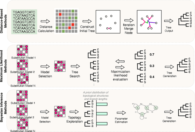 Figure 4 for A Review of Artificial Intelligence based Biological-Tree Construction: Priorities, Methods, Applications and Trends