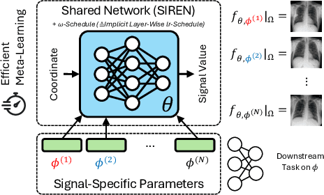 Figure 1 for MedFuncta: Modality-Agnostic Representations Based on Efficient Neural Fields