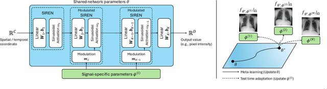Figure 2 for MedFuncta: Modality-Agnostic Representations Based on Efficient Neural Fields