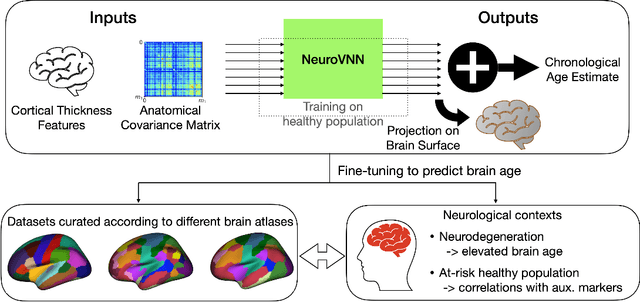 Figure 1 for Towards a Foundation Model for Brain Age Prediction using coVariance Neural Networks
