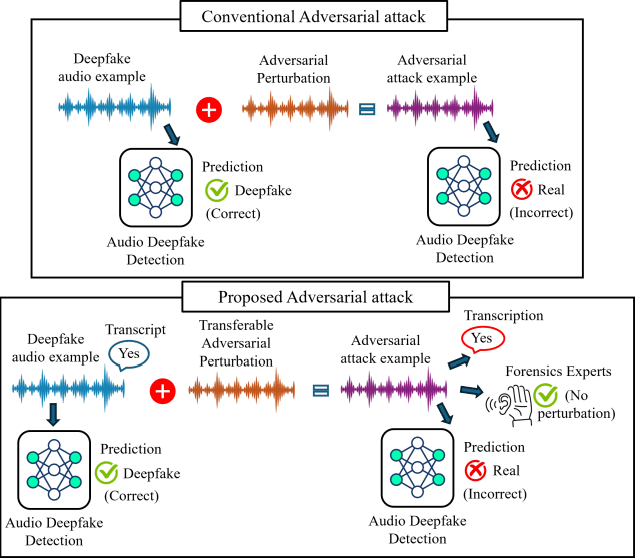 Figure 2 for Transferable Adversarial Attacks on Audio Deepfake Detection