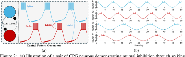 Figure 3 for Advancing Spiking Neural Networks for Sequential Modeling with Central Pattern Generators