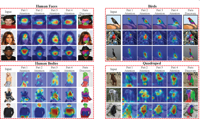 Figure 1 for Unsupervised Part Discovery via Dual Representation Alignment