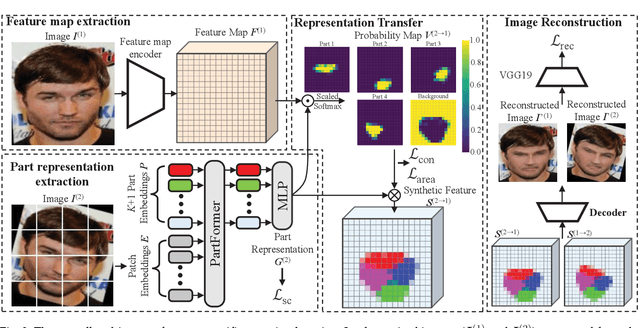 Figure 3 for Unsupervised Part Discovery via Dual Representation Alignment