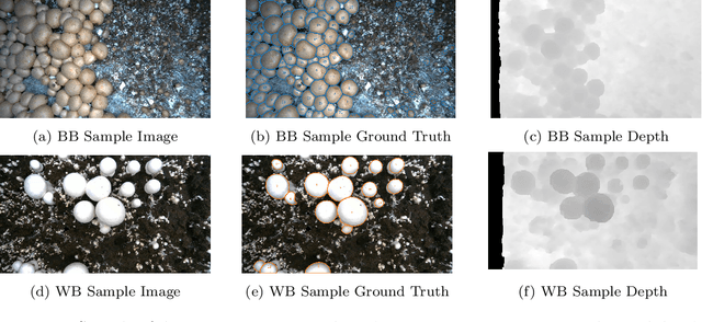 Figure 1 for M18K: A Comprehensive RGB-D Dataset and Benchmark for Mushroom Detection and Instance Segmentation