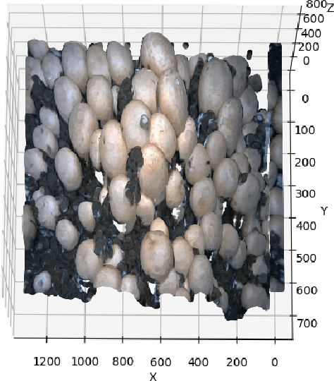 Figure 3 for M18K: A Comprehensive RGB-D Dataset and Benchmark for Mushroom Detection and Instance Segmentation