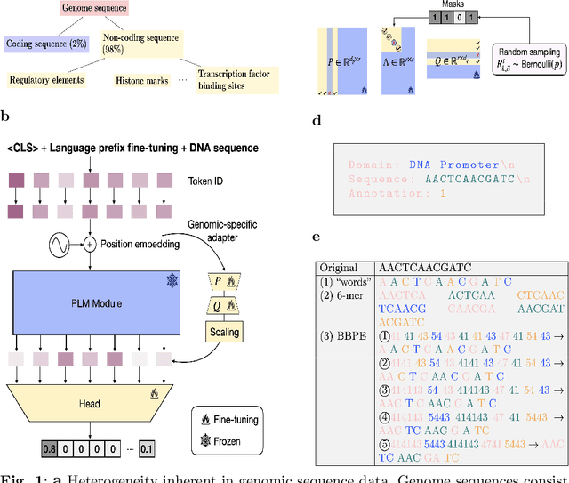 Figure 1 for Efficient and Scalable Fine-Tune of Language Models for Genome Understanding