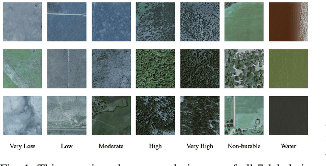 Figure 1 for FireRisk: A Remote Sensing Dataset for Fire Risk Assessment with Benchmarks Using Supervised and Self-supervised Learning