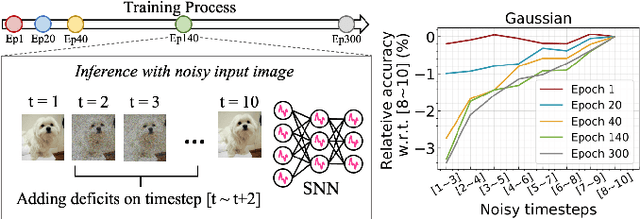 Figure 3 for Exploring Temporal Information Dynamics in Spiking Neural Networks