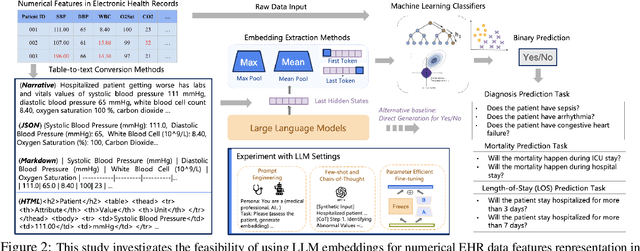 Figure 3 for When Raw Data Prevails: Are Large Language Model Embeddings Effective in Numerical Data Representation for Medical Machine Learning Applications?