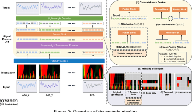 Figure 3 for Toward Foundation Model for Multivariate Wearable Sensing of Physiological Signals