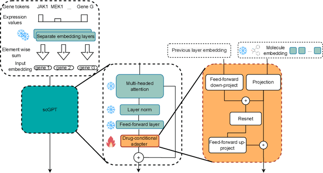 Figure 1 for Efficient Fine-Tuning of Single-Cell Foundation Models Enables Zero-Shot Molecular Perturbation Prediction