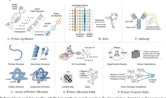 Figure 3 for Computational Protein Science in the Era of Large Language Models (LLMs)