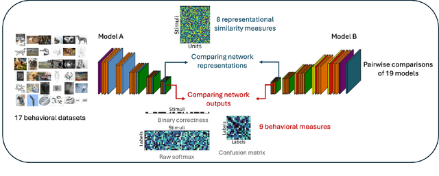 Figure 1 for Evaluating Representational Similarity Measures from the Lens of Functional Correspondence