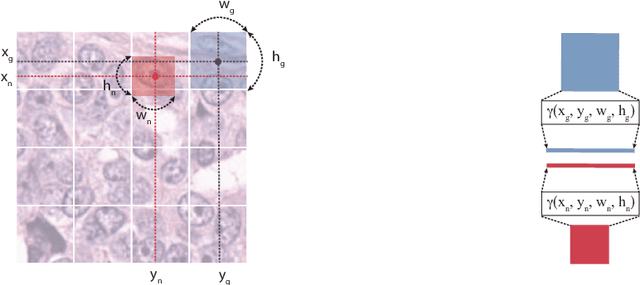 Figure 3 for Learning Nuclei Representations with Masked Image Modelling