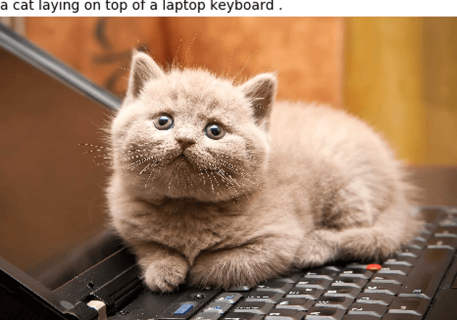 Figure 3 for Overcoming Catastrophic Forgetting by XAI