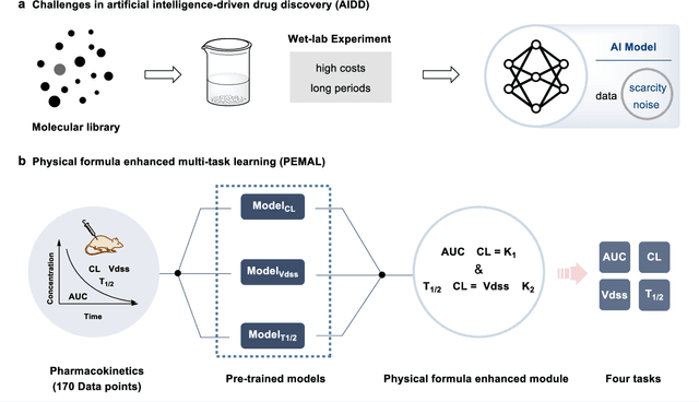 Figure 1 for Physical formula enhanced multi-task learning for pharmacokinetics prediction