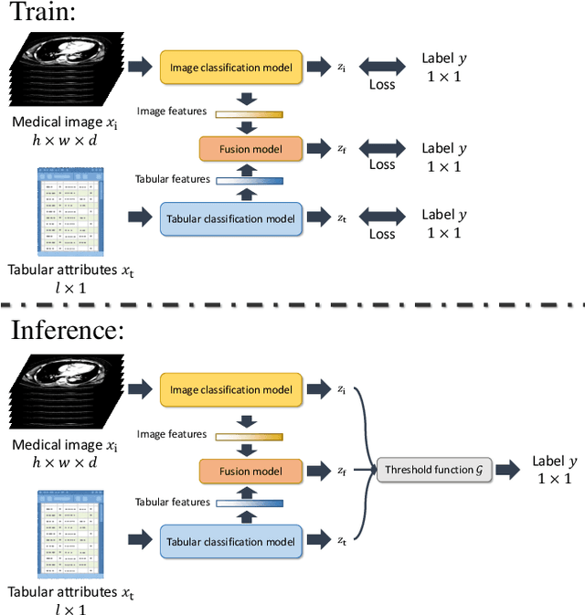 Figure 1 for TNF: Tri-branch Neural Fusion for Multimodal Medical Data Classification