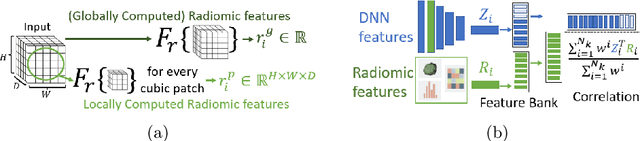 Figure 3 for Radiomics-Informed Deep Learning for Classification of Atrial Fibrillation Sub-Types from Left-Atrium CT Volumes