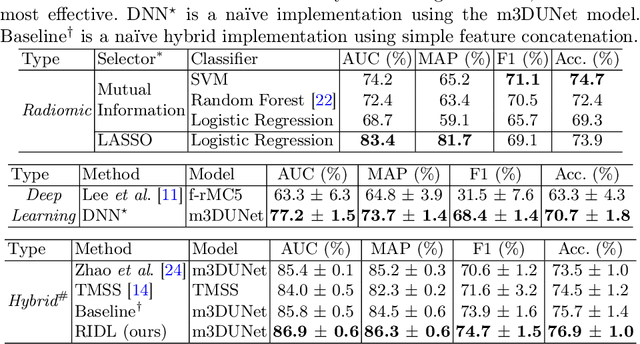 Figure 2 for Radiomics-Informed Deep Learning for Classification of Atrial Fibrillation Sub-Types from Left-Atrium CT Volumes