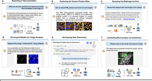 Figure 2 for BioImage.IO Chatbot: A Personalized Assistant for BioImage Analysis Augmented by Community Knowledge Base