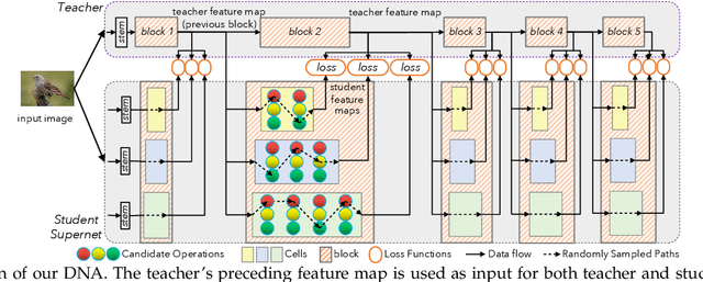 Figure 3 for DNA Family: Boosting Weight-Sharing NAS with Block-Wise Supervisions