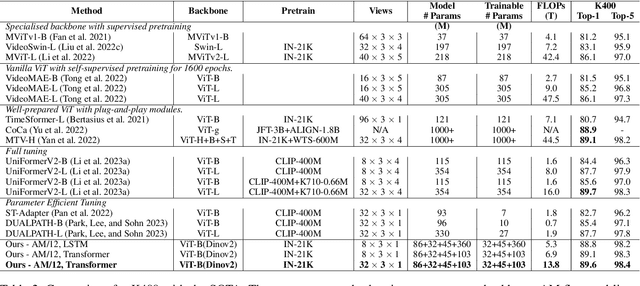 Figure 4 for AM Flow: Adapters for Temporal Processing in Action Recognition