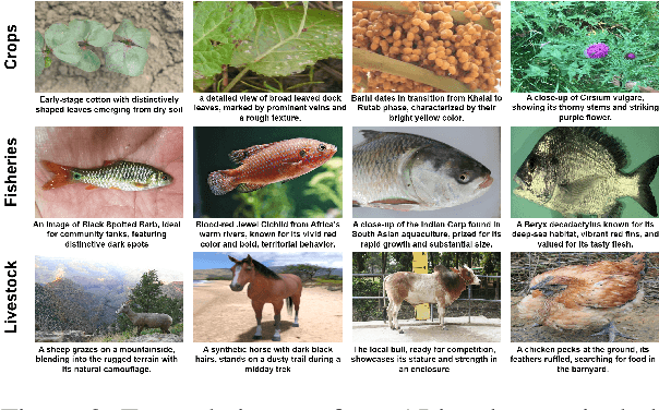 Figure 3 for AgriCLIP: Adapting CLIP for Agriculture and Livestock via Domain-Specialized Cross-Model Alignment