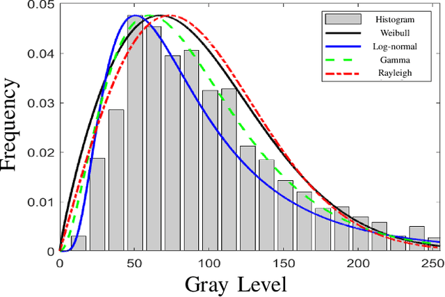 Figure 3 for Modeling and Analysis of Spatial and Temporal Land Clutter Statistics in SAR Imaging Based on MSTAR Data