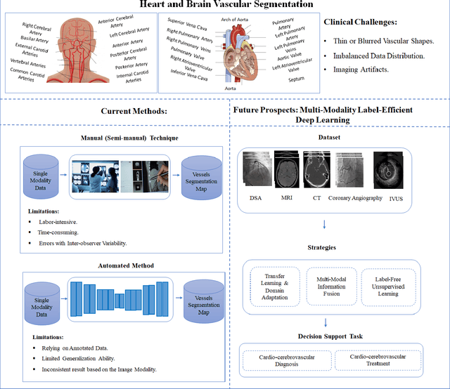 Figure 1 for Automating Vessel Segmentation in the Heart and Brain: A Trend to Develop Multi-Modality and Label-Efficient Deep Learning Techniques