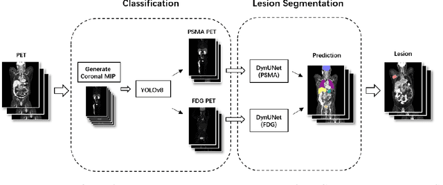 Figure 1 for Enhancing Lesion Segmentation in PET/CT Imaging with Deep Learning and Advanced Data Preprocessing Techniques