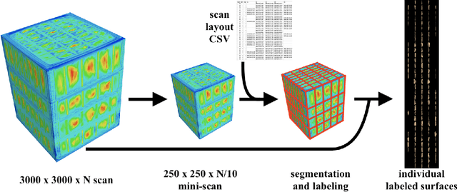 Figure 1 for En masse scanning and automated surfacing of small objects using Micro-CT