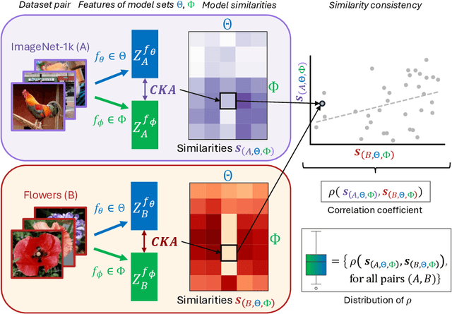 Figure 1 for Training objective drives the consistency of representational similarity across datasets