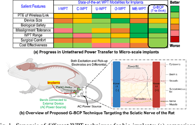 Figure 1 for Galvanic Body-Coupled Powering for Wireless Implanted Neurostimulators