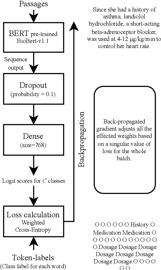 Figure 1 for Preserving Empirical Probabilities in BERT for Small-sample Clinical Entity Recognition