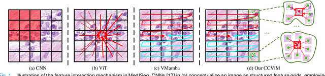 Figure 1 for Merging Context Clustering with Visual State Space Models for Medical Image Segmentation