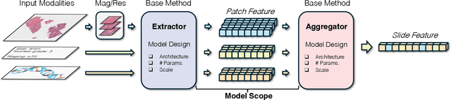 Figure 1 for A Survey of Pathology Foundation Model: Progress and Future Directions