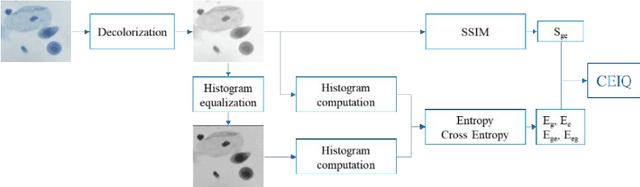 Figure 3 for Optimized Pap Smear Image Enhancement: Hybrid PMD Filter-CLAHE Using Spider Monkey Optimization