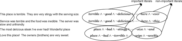 Figure 1 for Pruning Literals for Highly Efficient Explainability at Word Level