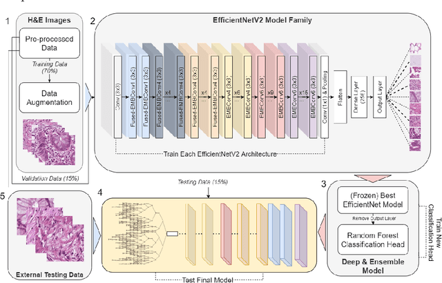 Figure 1 for Improving Performance in Colorectal Cancer Histology Decomposition using Deep and Ensemble Machine Learning