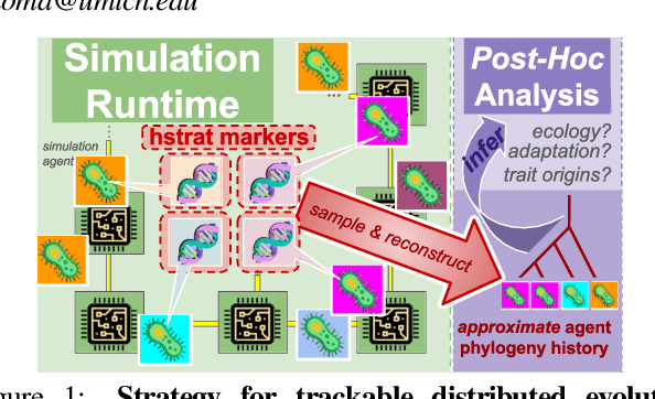 Figure 1 for Trackable Agent-based Evolution Models at Wafer Scale