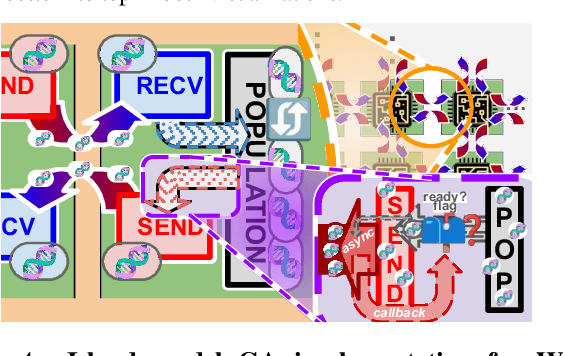 Figure 4 for Trackable Agent-based Evolution Models at Wafer Scale