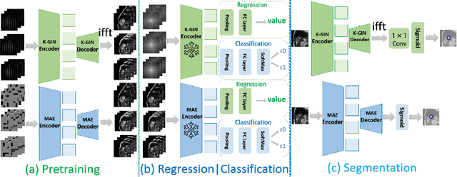 Figure 1 for Classification, Regression and Segmentation directly from k-Space in Cardiac MRI