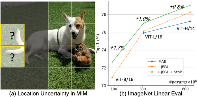 Figure 1 for Predicting masked tokens in stochastic locations improves masked image modeling