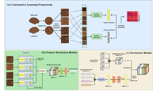 Figure 3 for Identification of morphological fingerprint in perinatal brains using quasi-conformal mapping and contrastive learning