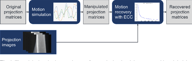 Figure 1 for Motion Compensation via Epipolar Consistency for In-Vivo X-Ray Microscopy