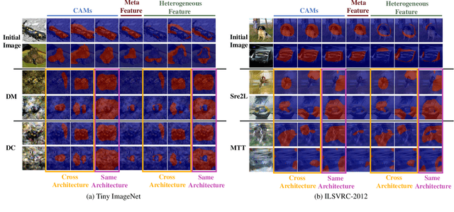 Figure 2 for MetaDD: Boosting Dataset Distillation with Neural Network Architecture-Invariant Generalization